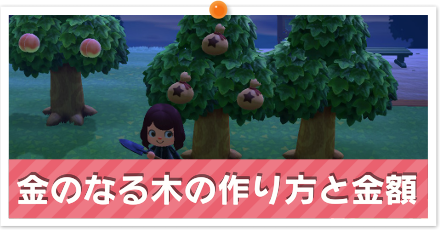 金のなる木作り方と金額