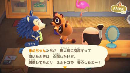 たぬき商店解放後に不定期で来る