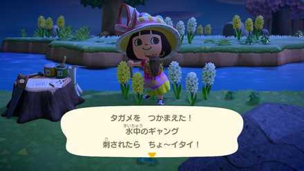 コメント画像