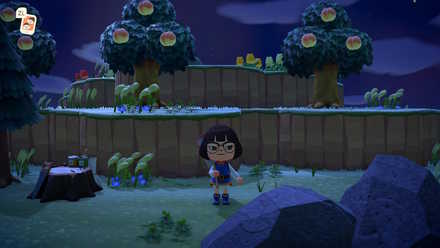 崖が2段になっている島