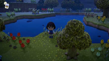 大きなため池がある島