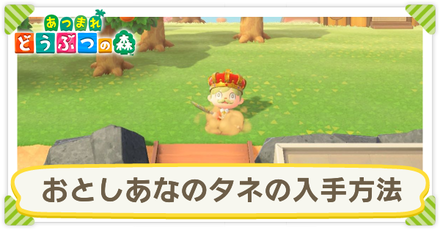 森 あな タネ の 入手 あつ 方法 おとし 【あつ森】おとしあなのタネ入手方法！【おとしあなの作り方！】