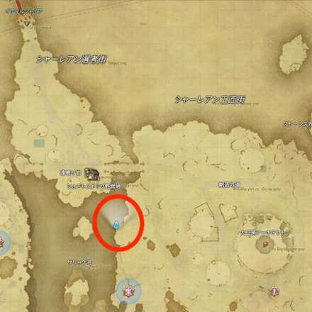 サリャク河　智慧珊瑚