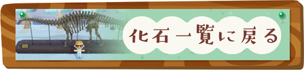 化石一覧に戻る