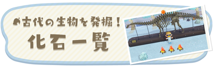化石一覧に戻る