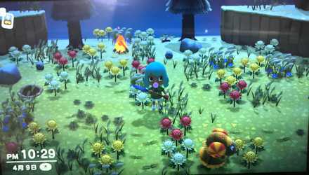 サソリとベルの島