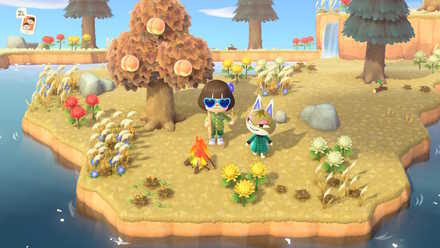 右奥に左向きの滝がある島