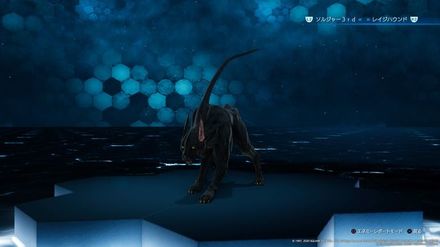 ガードハウンド