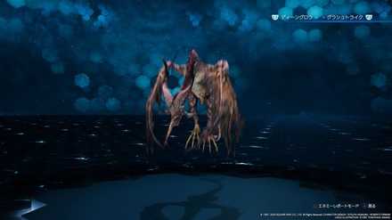 ストライプフォリッジ