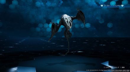 ファントムの画像