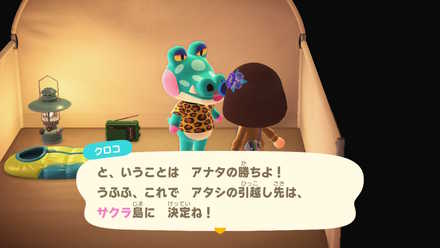 キャンプサイト