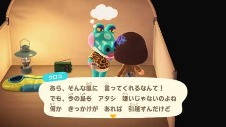 キャンプサイト