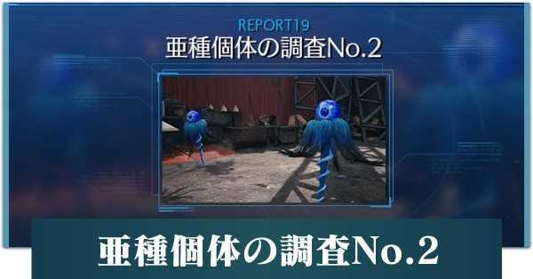 亜種個体の調査No.2