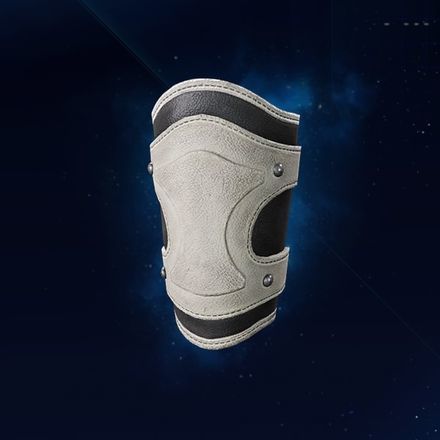 フルパワーリストの画像