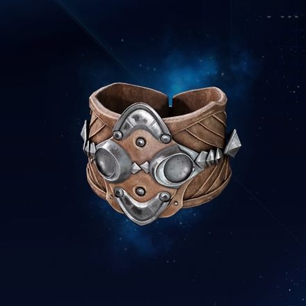 レザーガードの画像