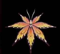 猟虫シナトオオモミジⅢ攻の画像