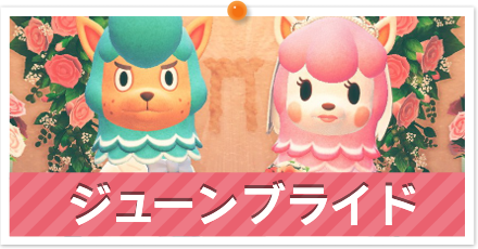 ジューンブライドイベント