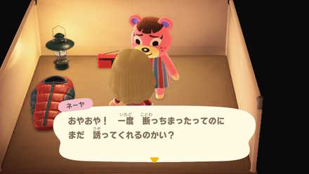 キャンプサイトでは諦めずに勧誘しよう