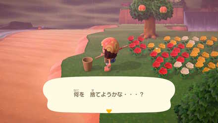 ゴミ箱系家具の前でAボタンを押す