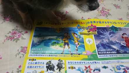 コメント画像