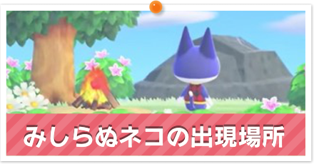 みしらぬネコの出現場所