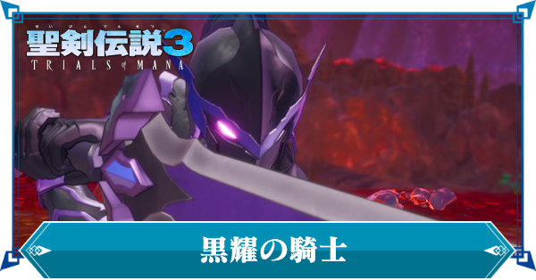 黒耀の騎士