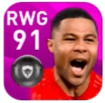 FPセルジュ・ニャブリ(3/5)の画像