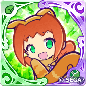 にゃんこのアリィの画像