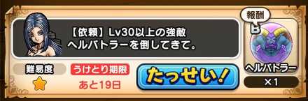 ルイーダの依頼