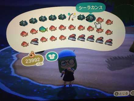 コメント画像
