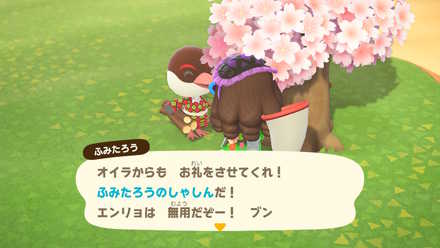 ふみたろうの写真