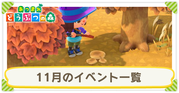 11月のイベント一覧