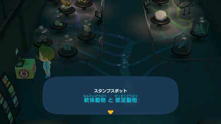 軟体動物と節足動物