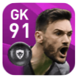 FPウーゴ・ロリス(5/18)の画像