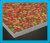 Colored-Leaves Flooring Icon