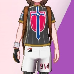 チャンプセット画像