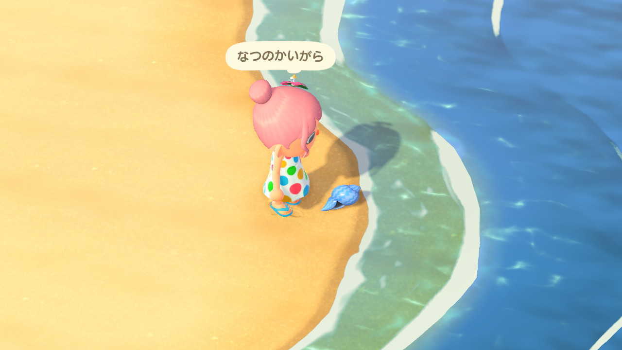 夏の期間に浜辺に行く