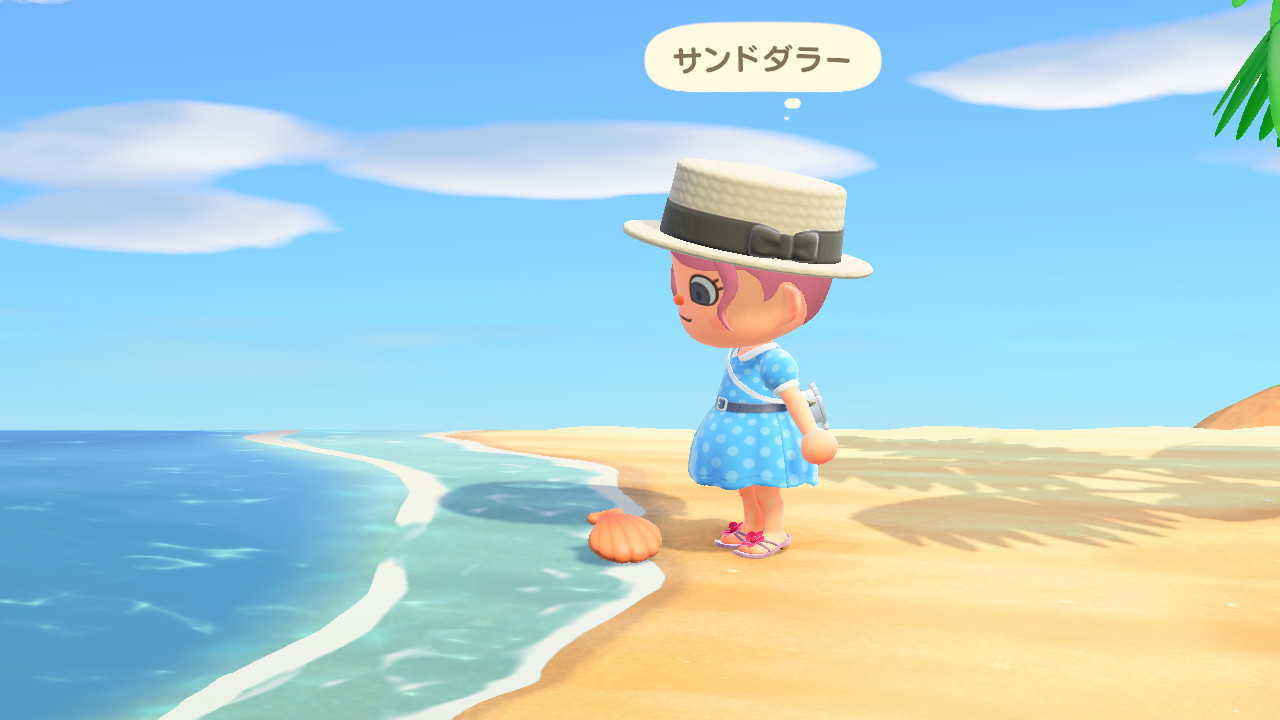 1年中浜辺で拾える