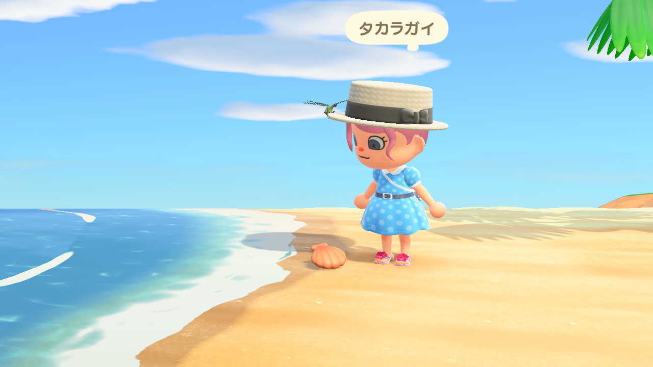 1年中浜辺で拾える