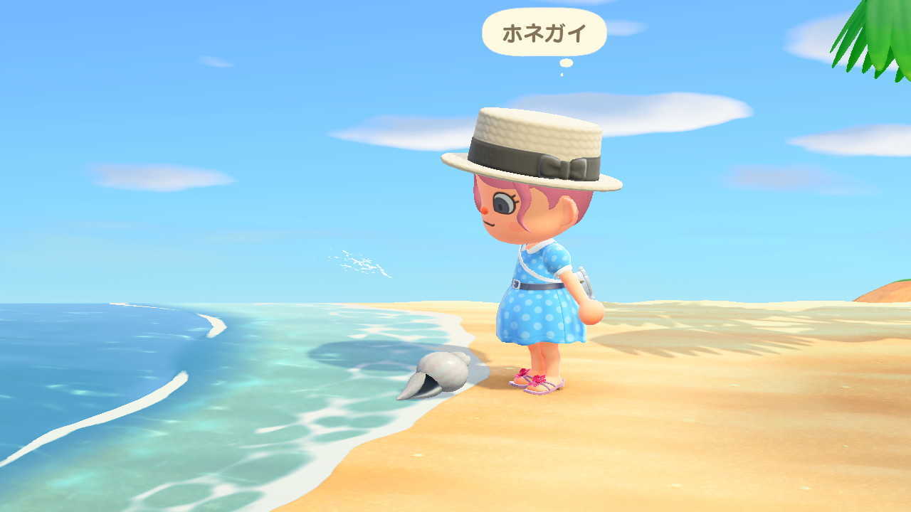 1年中浜辺で拾える