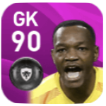 FPスティーヴ・マンダンダ(6/8)の画像