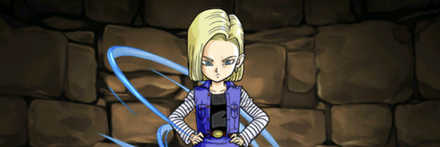 【1567】人造人間18号