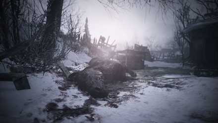 バイオ8のゲーム画像2