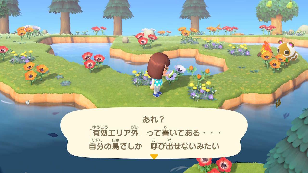 離島ツアーでは使用できない