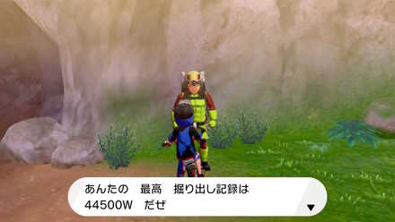 効率 ポケモン ワット