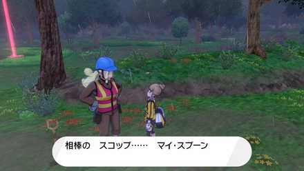 掘り出しマダムでヨロイのこうせきを入手