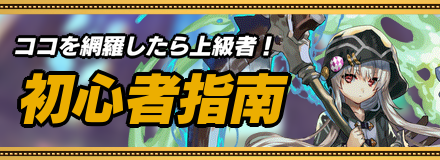 初心者指南