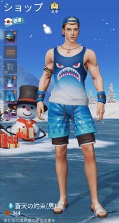 蒼天の約束画像