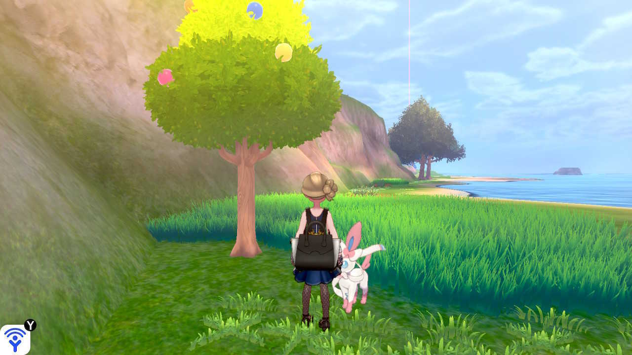 駅を降りて右の海沿いにある木からも取れる