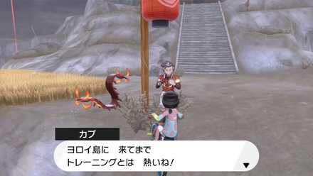 ポケモン鎧の孤島 クリア後のやりこみ要素 やるべきことまとめ 剣盾 ゲームエイト